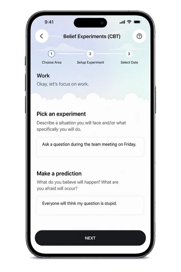Setup Experiment for Work. Pick an experiment: “Ask a question during the team meeting on Friday.” Make a prediction: “Everyone will think my question is stupid.”