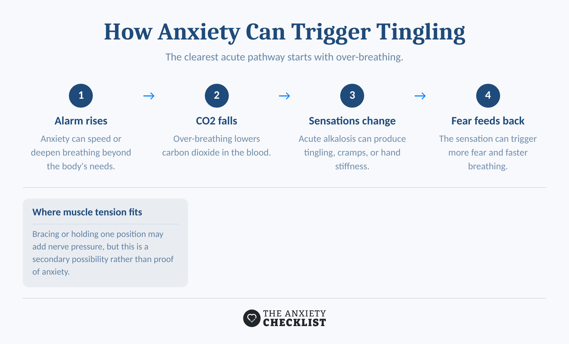 Four-step pathway from anxiety and over-breathing to tingling.