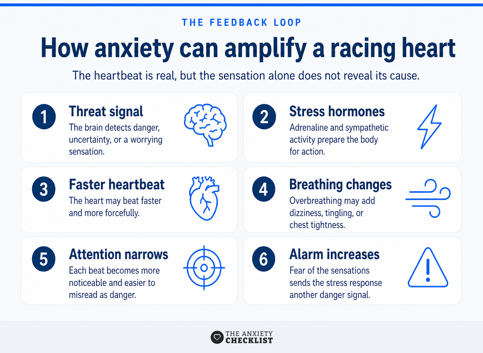 The anxiety and racing-heart feedback loop from threat signal to increased alarm